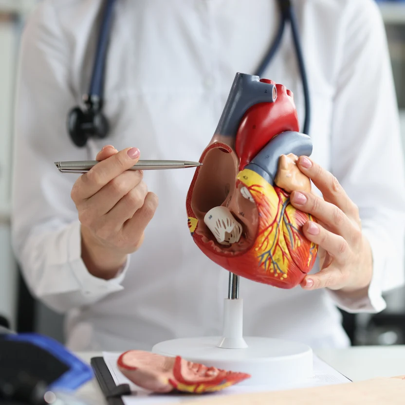 Heart Centre